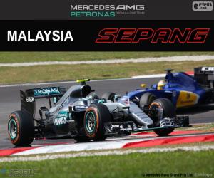 yapboz N. Rosberg, Malezya Grand Prix 2016